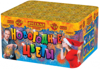 Новогодние цветы Фейерверк купить в Аше | asha.salutsklad.ru