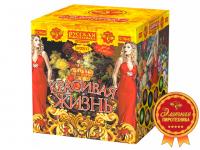 Красивая жизнь Фейерверк купить в Аше | asha.salutsklad.ru