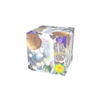 Новогодняя ночь Салют купить в Аше | asha.salutsklad.ru