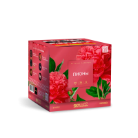 Пионы Салют купить в Аше | asha.salutsklad.ru