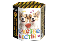 Счастье есть! Салют купить в Аше | asha.salutsklad.ru