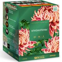 Хризантемы Фейерверк купить в Аше | asha.salutsklad.ru