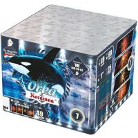 Косатка Фейерверк купить в Аше | asha.salutsklad.ru