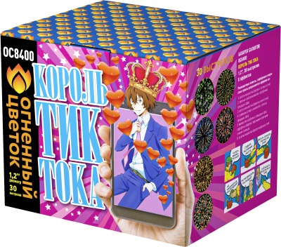 Король Тик-Тока Батарея салютов купить в Аше | asha.salutsklad.ru