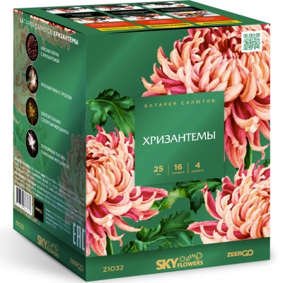 Хризантемы Фейерверк купить в Аше | asha.salutsklad.ru
