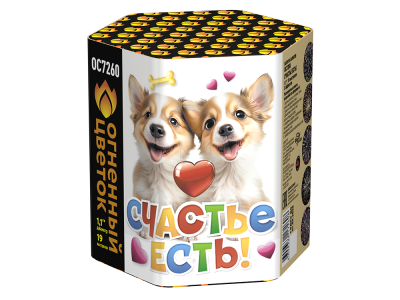 Счастье есть! Салют купить в Аше | asha.salutsklad.ru